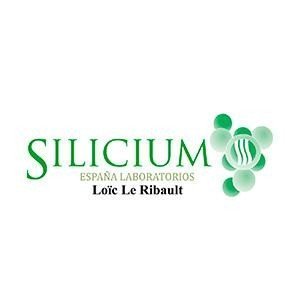 SILICIUM